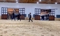 Double Sliding Barn End Door Horse Stable Panels Custom Made Size Bamboo Infill