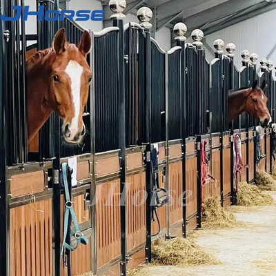 ฟาร์มขี่คอกม้ายุโรป Custom Equine Barns ประกอบความสูง 2.2 ม. ได้อย่างง่ายดาย